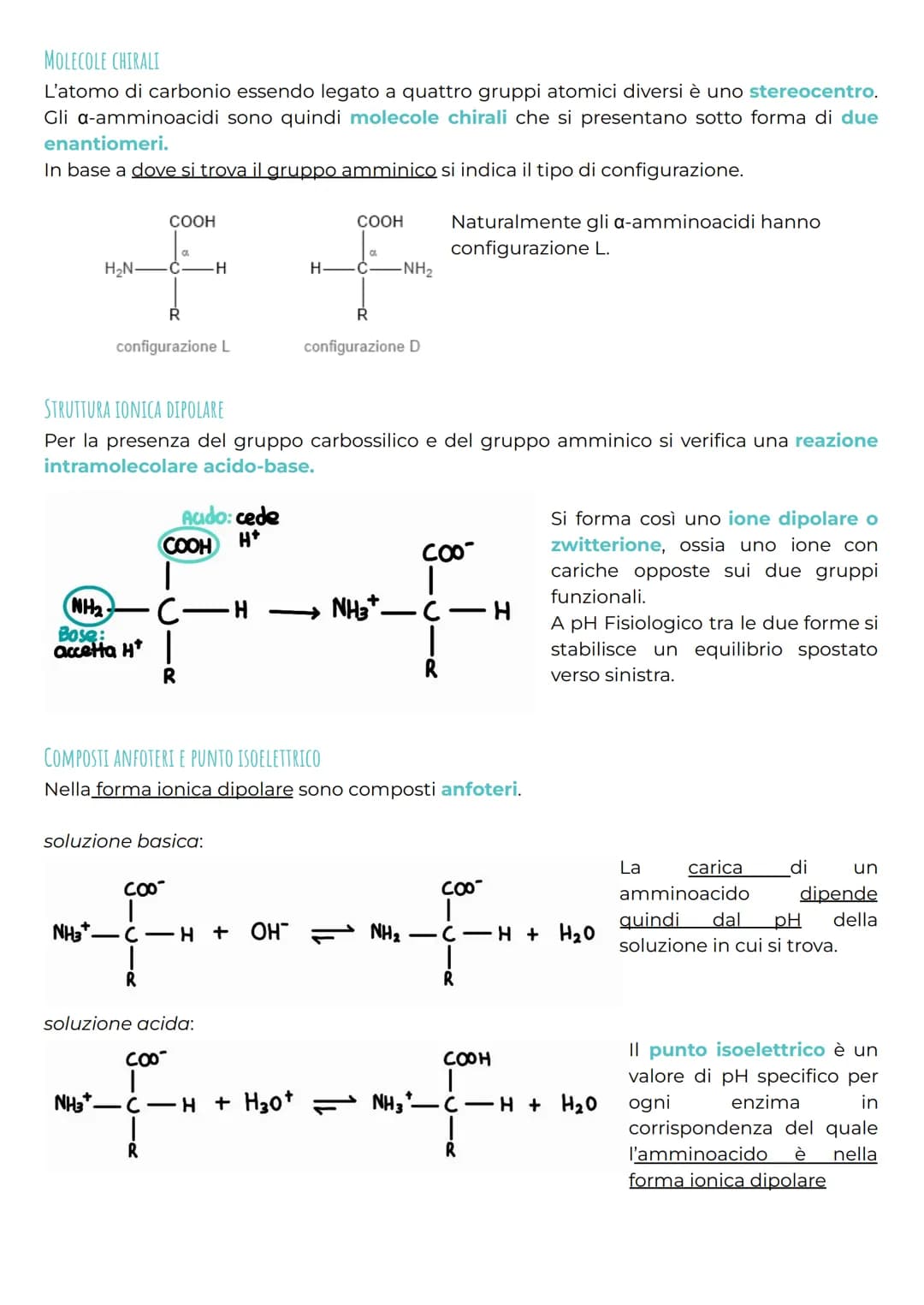 gli amminoacidi
CHE COSA SONO?
Gli amminoacidi rappresentano i monomeri dei peptidi e delle proteine e svolgono anche
molte altre funzioni b