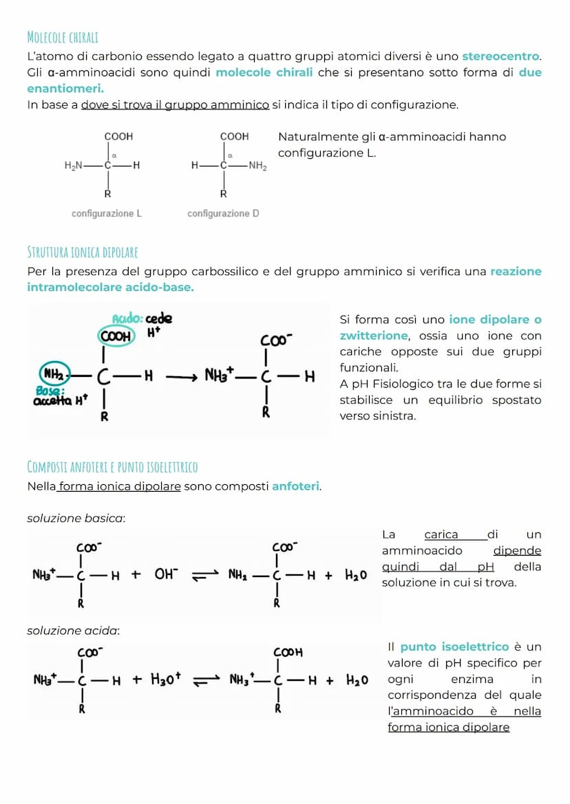 gli amminoacidi
CHE COSA SONO?
Gli amminoacidi rappresentano i monomeri dei peptidi e delle proteine e svolgono anche
molte altre funzioni b
