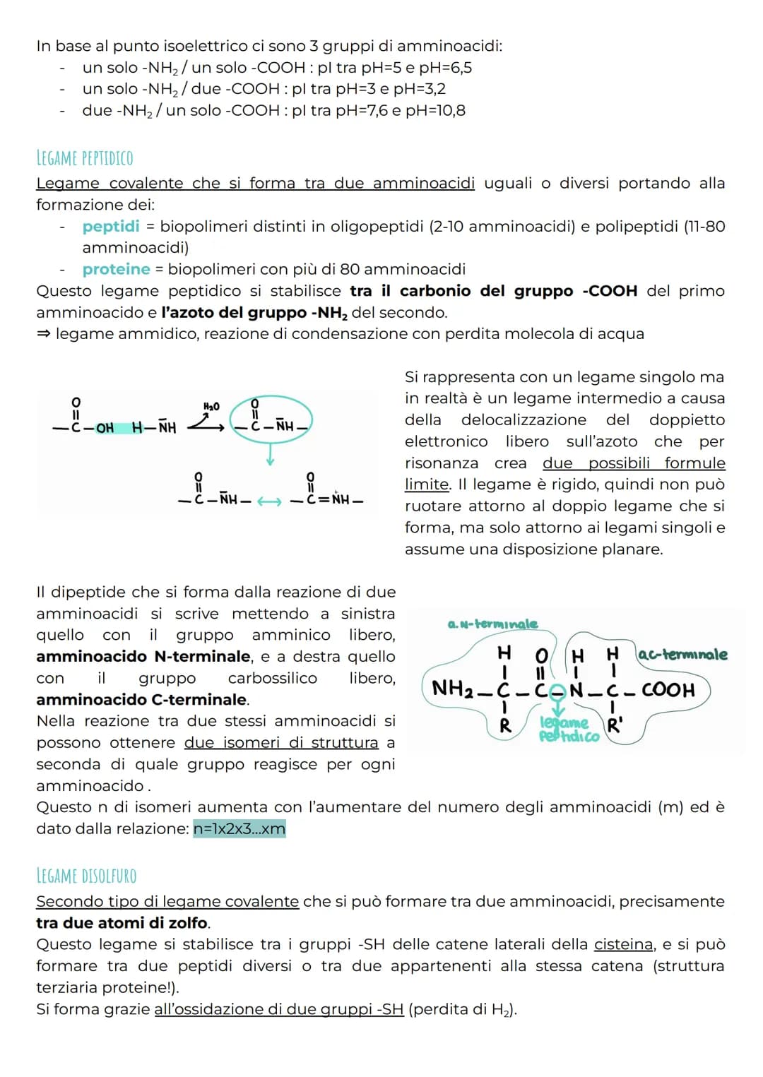 gli amminoacidi
CHE COSA SONO?
Gli amminoacidi rappresentano i monomeri dei peptidi e delle proteine e svolgono anche
molte altre funzioni b