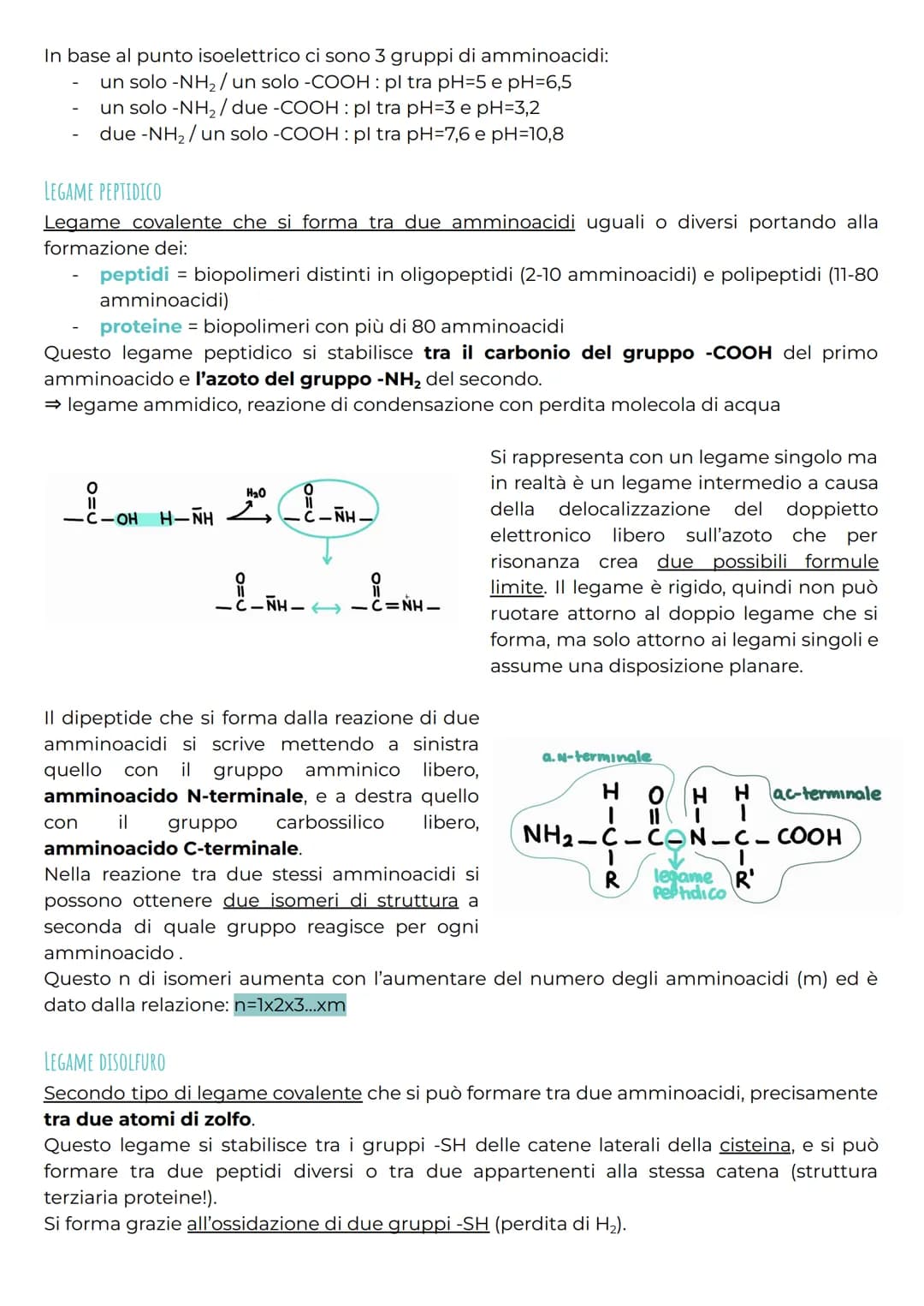 Tutto su Amminoacidi e Proteine: Struttura e Denaturazione