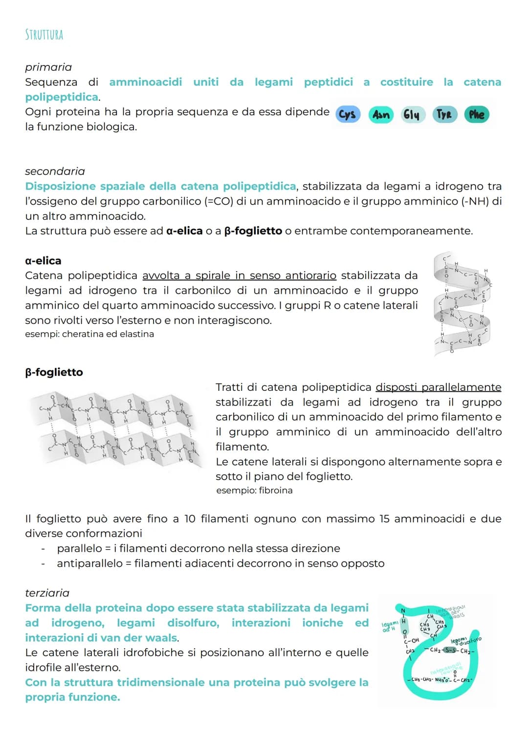 gli amminoacidi
CHE COSA SONO?
Gli amminoacidi rappresentano i monomeri dei peptidi e delle proteine e svolgono anche
molte altre funzioni b