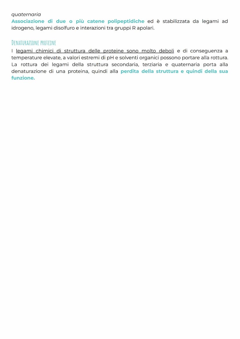 gli amminoacidi
CHE COSA SONO?
Gli amminoacidi rappresentano i monomeri dei peptidi e delle proteine e svolgono anche
molte altre funzioni b