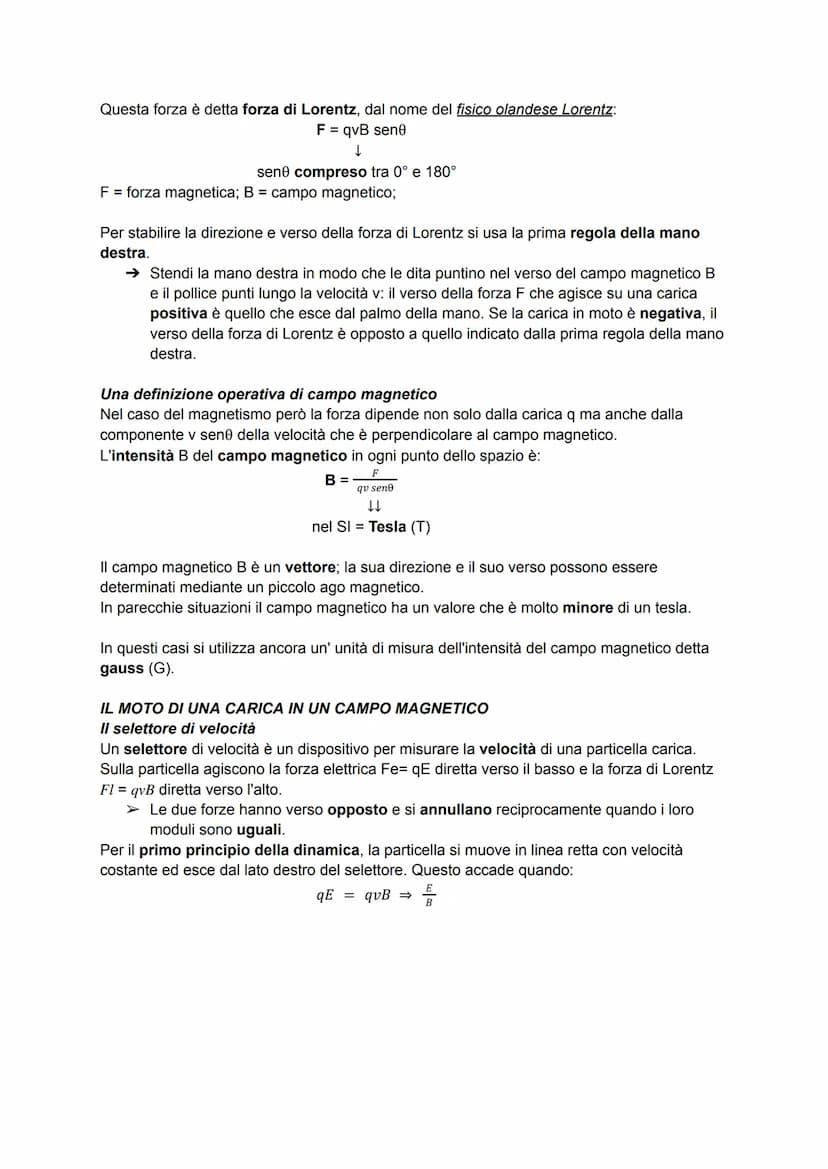 INTERAZIONI MAGNETICHE E CAMPO MAGNETICO
I magneti
Per magnetismo si intende la capacità di alcuni materiali di attirare il ferro, un pezzo 