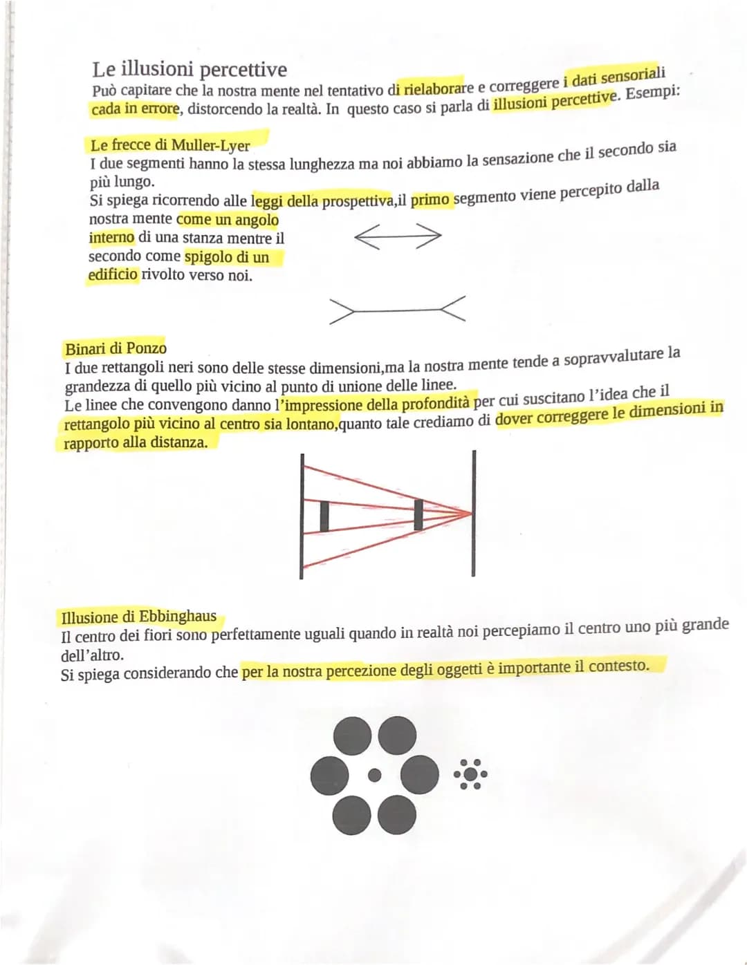 LA PERCEZIONE
LA PERCEZIONE E UNA RIELABORAZIONE DEI DATI SENSORIALI OFERATA
RIELABORAZIONE GRAZIE ALLA QUALE POSSIANO.
DALLA NOSTRA MENTE
R