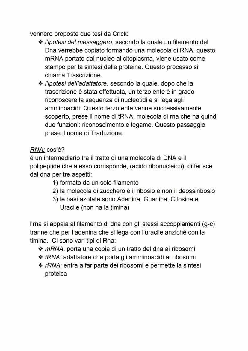 DAL DNA ALLE PROTEINE
1: geni e proteine
gli scienziati per indagare un fenomeno biologico utilizzano sempre
organismi modello che, oltre ch