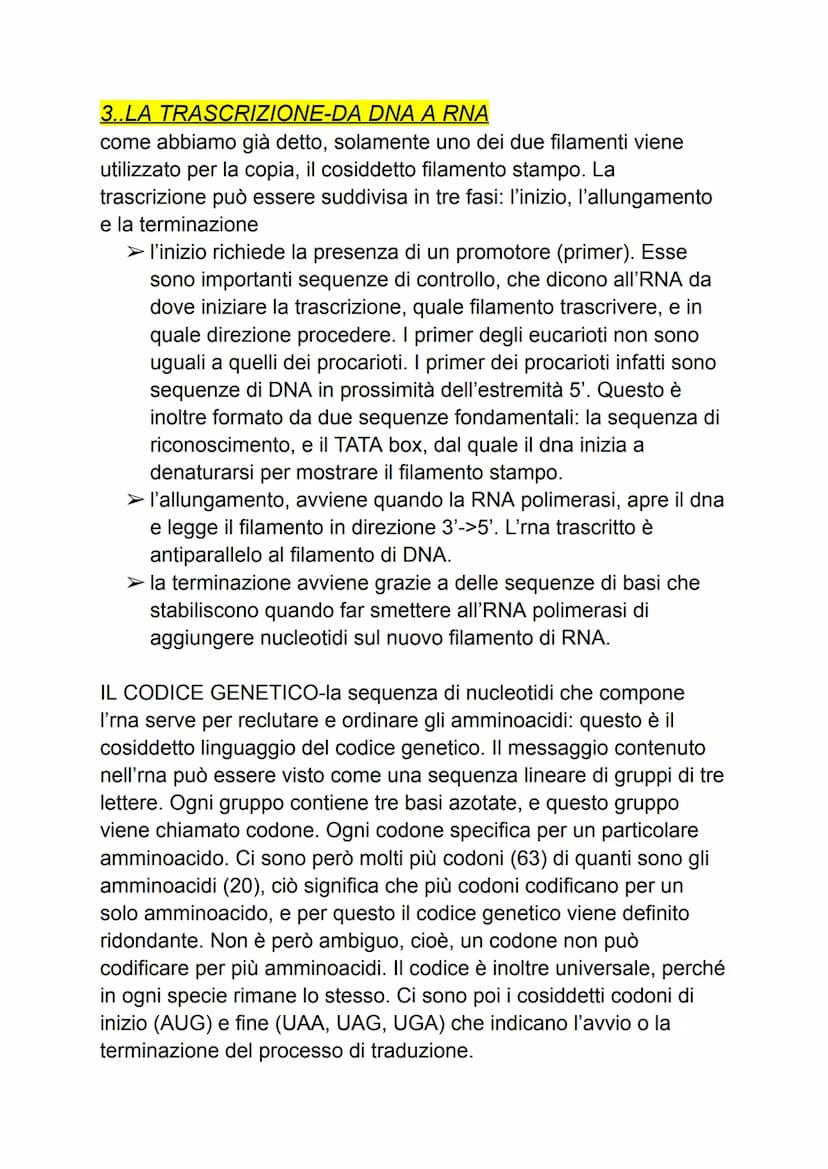DAL DNA ALLE PROTEINE
1: geni e proteine
gli scienziati per indagare un fenomeno biologico utilizzano sempre
organismi modello che, oltre ch
