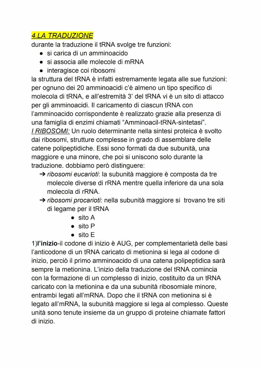 DAL DNA ALLE PROTEINE
1: geni e proteine
gli scienziati per indagare un fenomeno biologico utilizzano sempre
organismi modello che, oltre ch