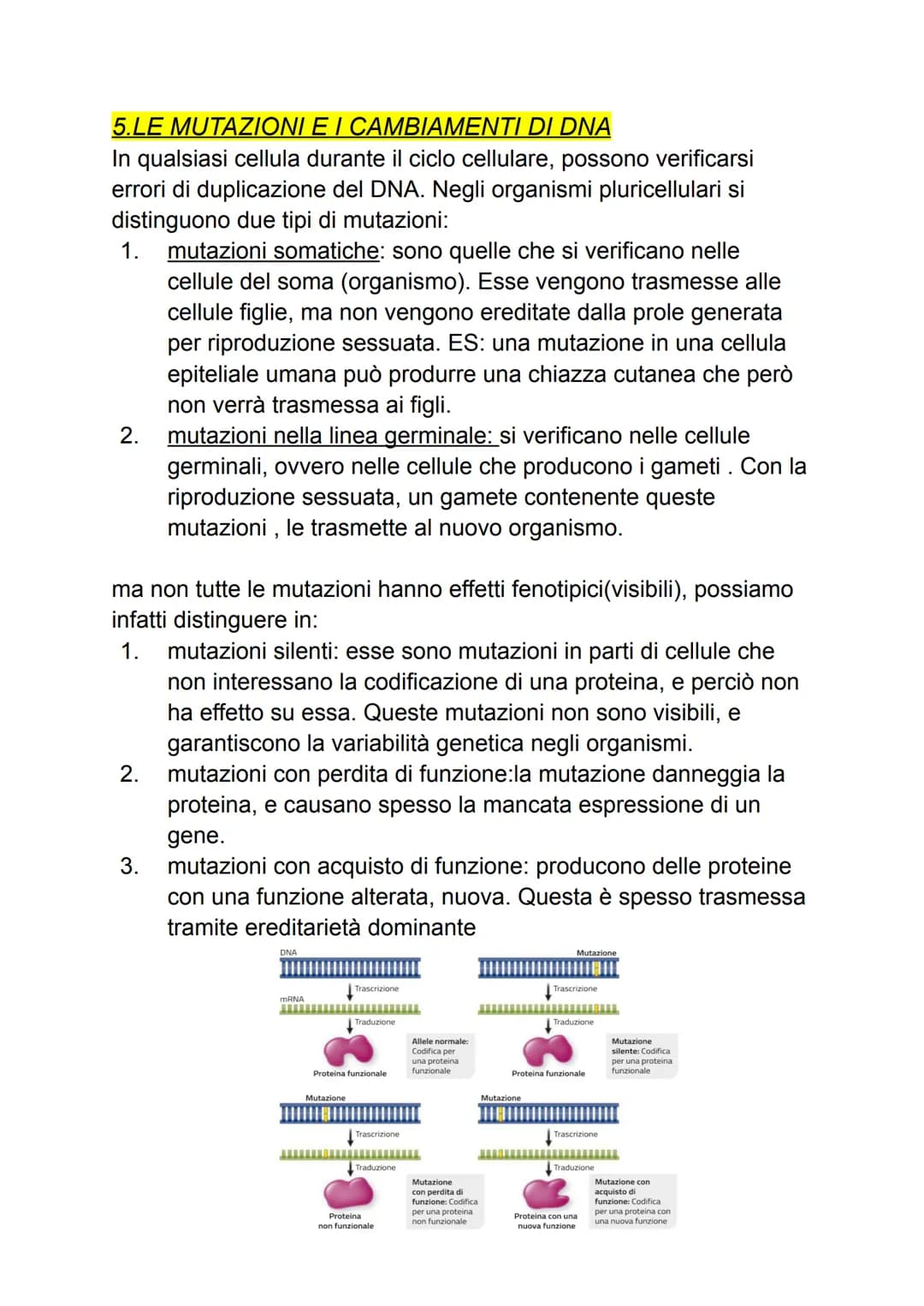 DAL DNA ALLE PROTEINE
1: geni e proteine
gli scienziati per indagare un fenomeno biologico utilizzano sempre
organismi modello che, oltre ch