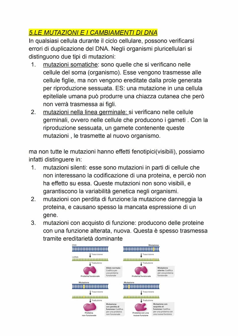 DAL DNA ALLE PROTEINE
1: geni e proteine
gli scienziati per indagare un fenomeno biologico utilizzano sempre
organismi modello che, oltre ch