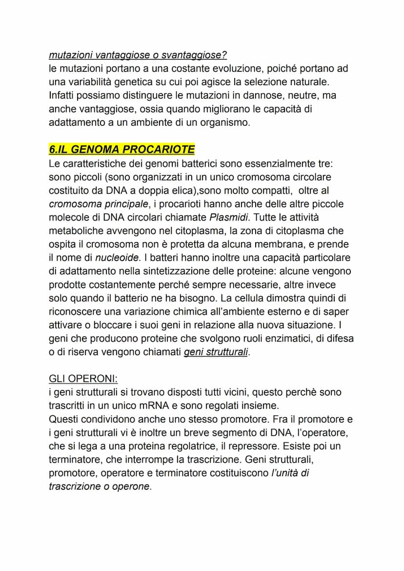 DAL DNA ALLE PROTEINE
1: geni e proteine
gli scienziati per indagare un fenomeno biologico utilizzano sempre
organismi modello che, oltre ch