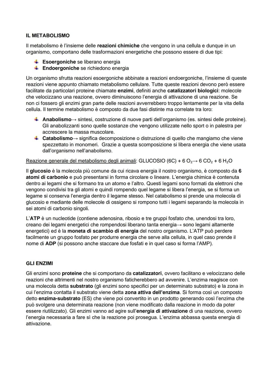 metabolismo cellulare 