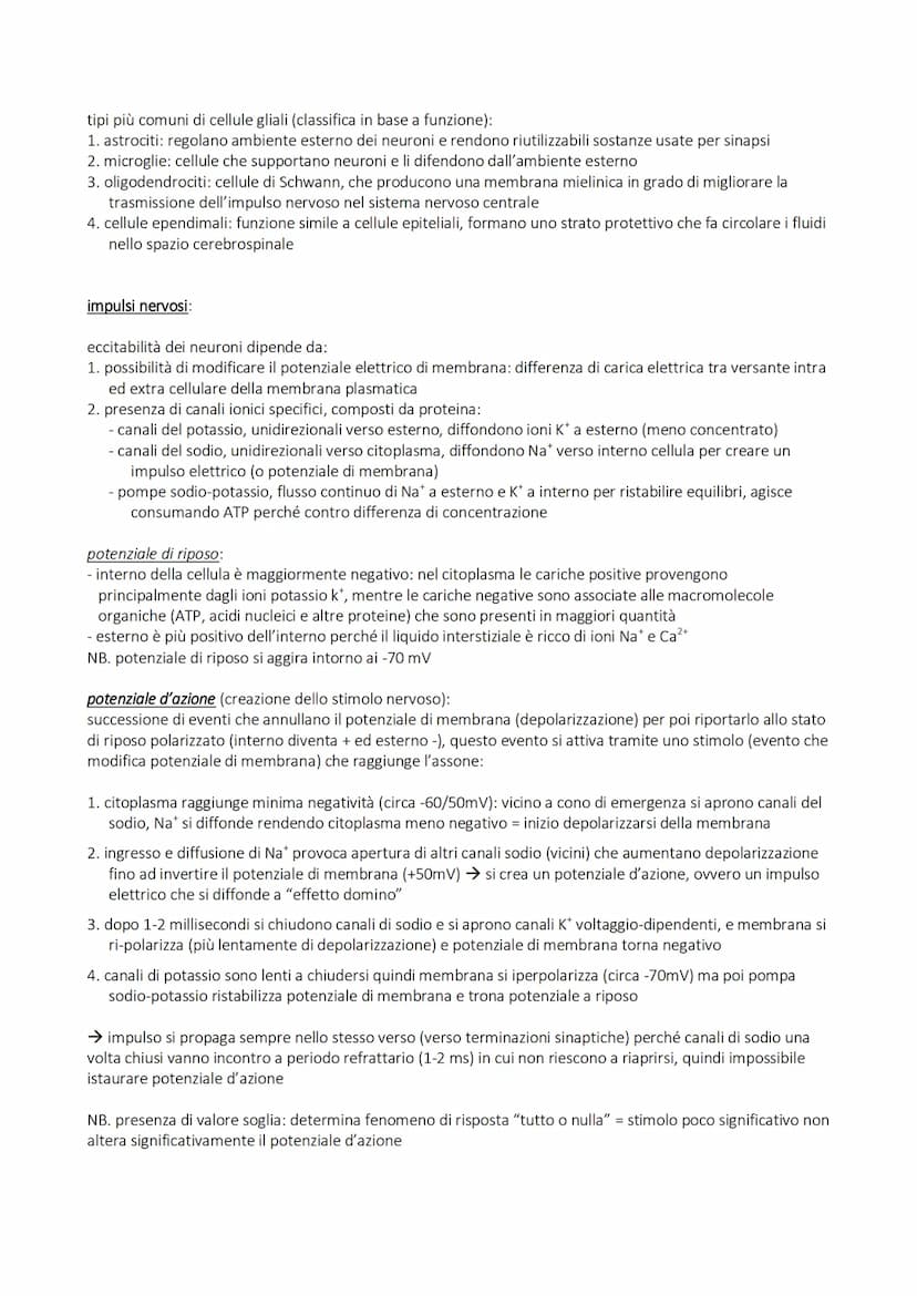 SISTEMA NERVOSO
alla base della trasmissione dei segnali che permettono coordinamento
di azioni (volontarie e involontarie) fisiche e psicol