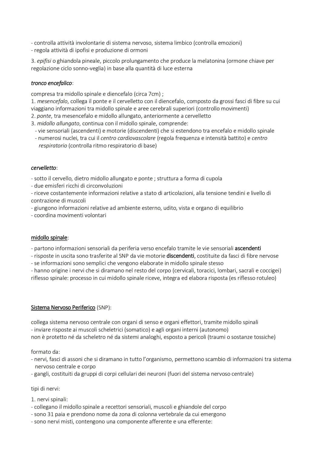 SISTEMA NERVOSO
alla base della trasmissione dei segnali che permettono coordinamento
di azioni (volontarie e involontarie) fisiche e psicol
