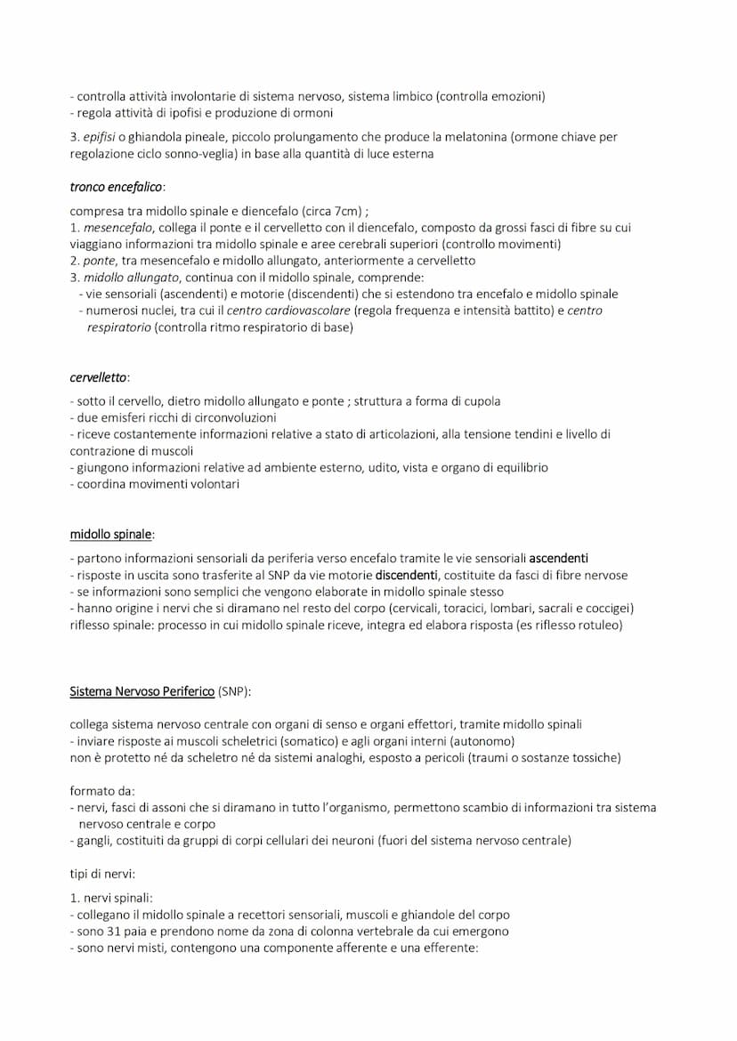 SISTEMA NERVOSO
alla base della trasmissione dei segnali che permettono coordinamento
di azioni (volontarie e involontarie) fisiche e psicol