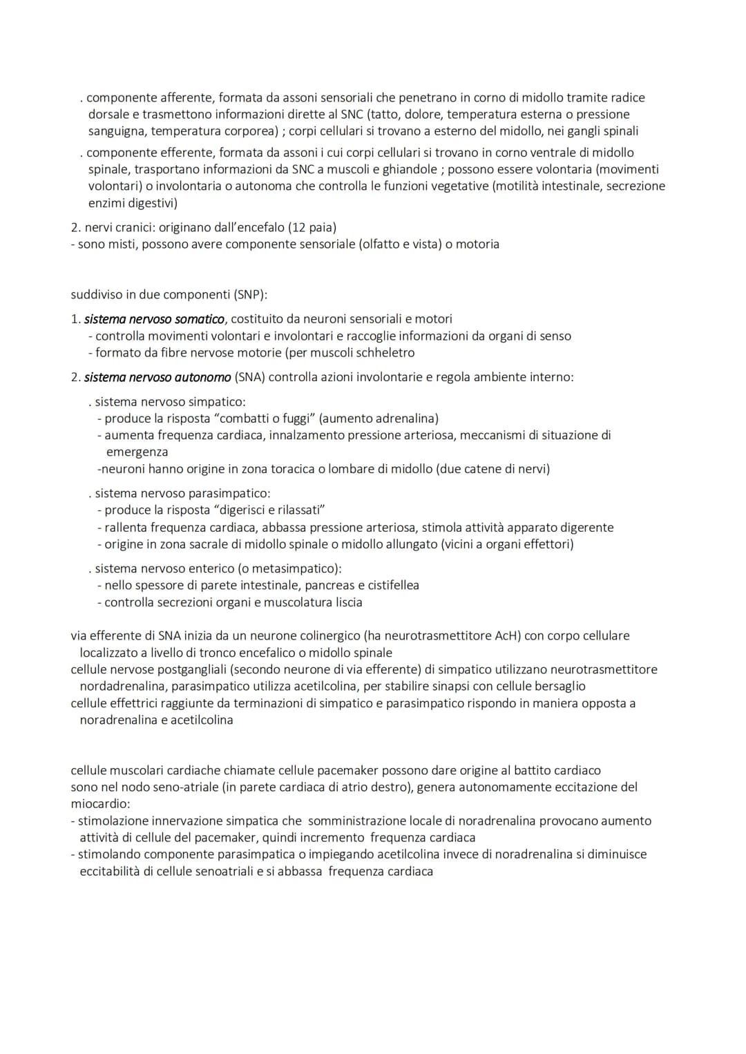 SISTEMA NERVOSO
alla base della trasmissione dei segnali che permettono coordinamento
di azioni (volontarie e involontarie) fisiche e psicol
