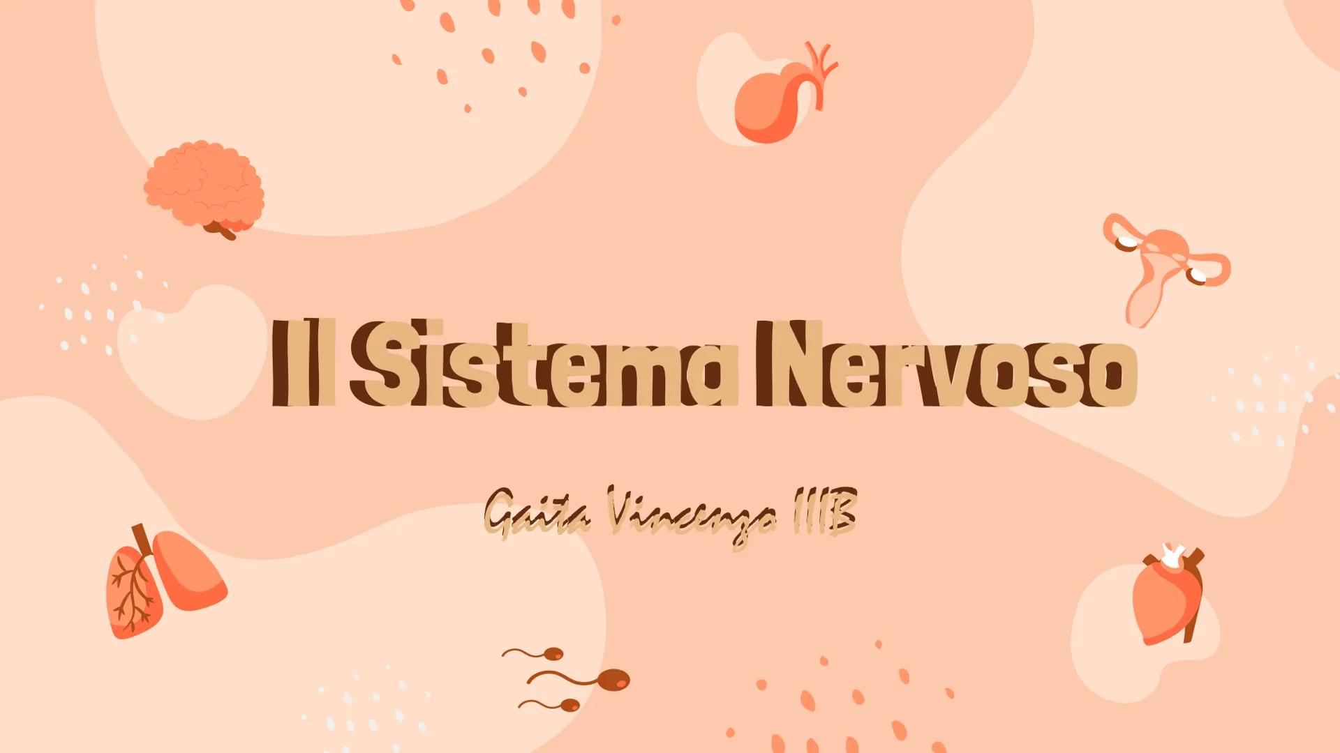 Il Sistema Nervoso
Gaita Vinerays 111B
་་ Il Sistema Nervoso
Il sistema nervoso dell'uomo
si compone in tre parti:
•Sistema Nervoso Centrale