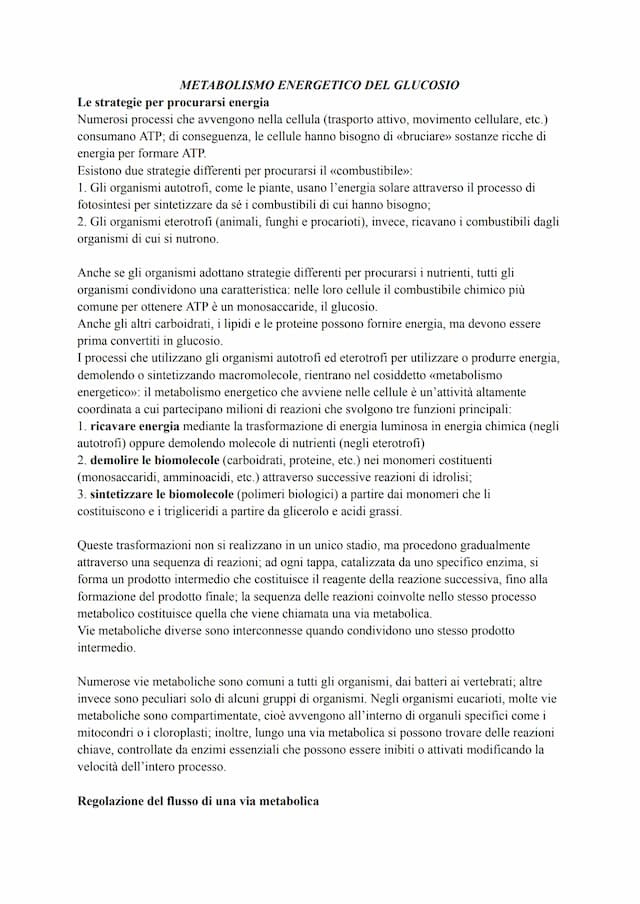 Know Metabolismo energetico del glucosio thumbnail