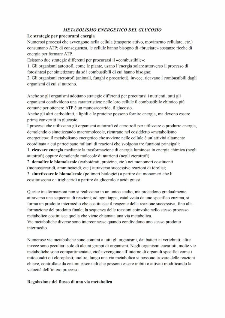 Know Metabolismo energetico del glucosio thumbnail