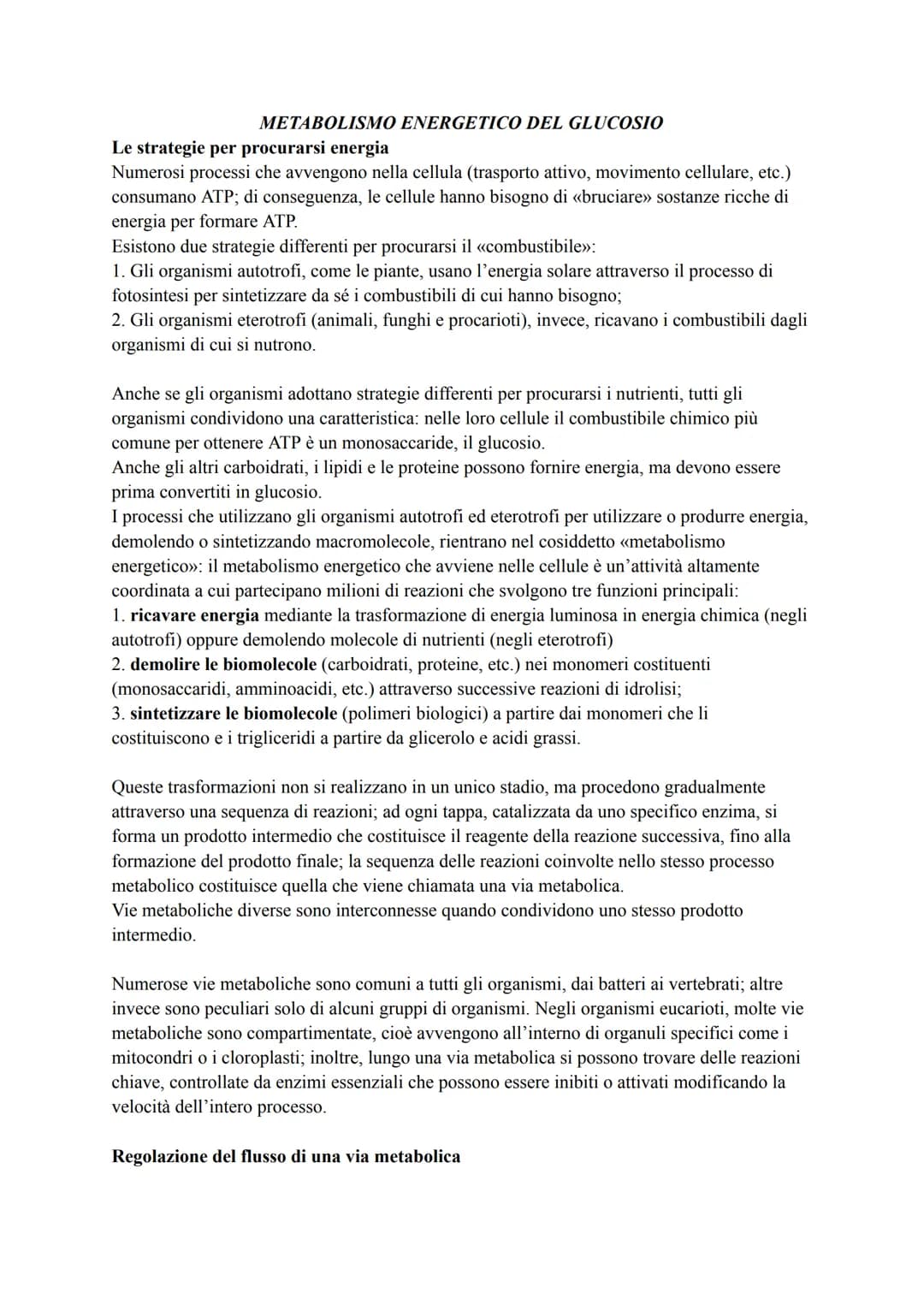METABOLISMO ENERGETICO DEL GLUCOSIO
Le strategie per procurarsi energia
Numerosi processi che avvengono nella cellula (trasporto attivo, mov