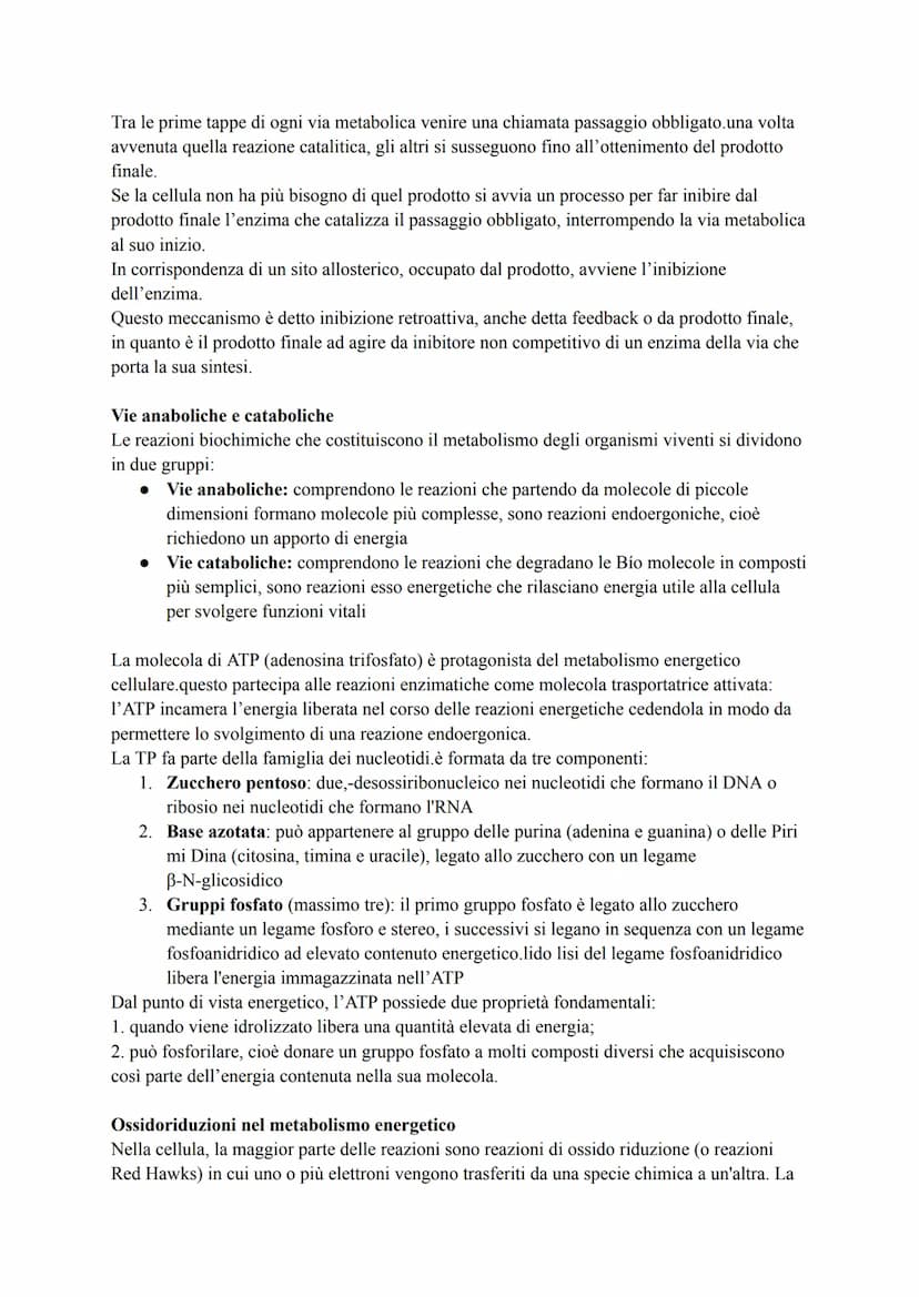 METABOLISMO ENERGETICO DEL GLUCOSIO
Le strategie per procurarsi energia
Numerosi processi che avvengono nella cellula (trasporto attivo, mov