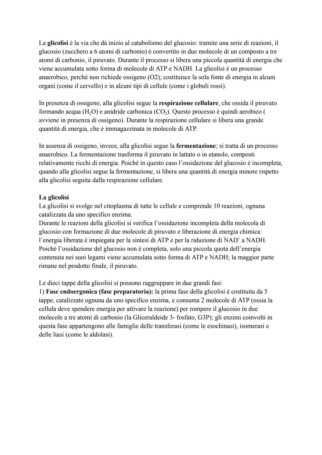 METABOLISMO ENERGETICO DEL GLUCOSIO
Le strategie per procurarsi energia
Numerosi processi che avvengono nella cellula (trasporto attivo, mov