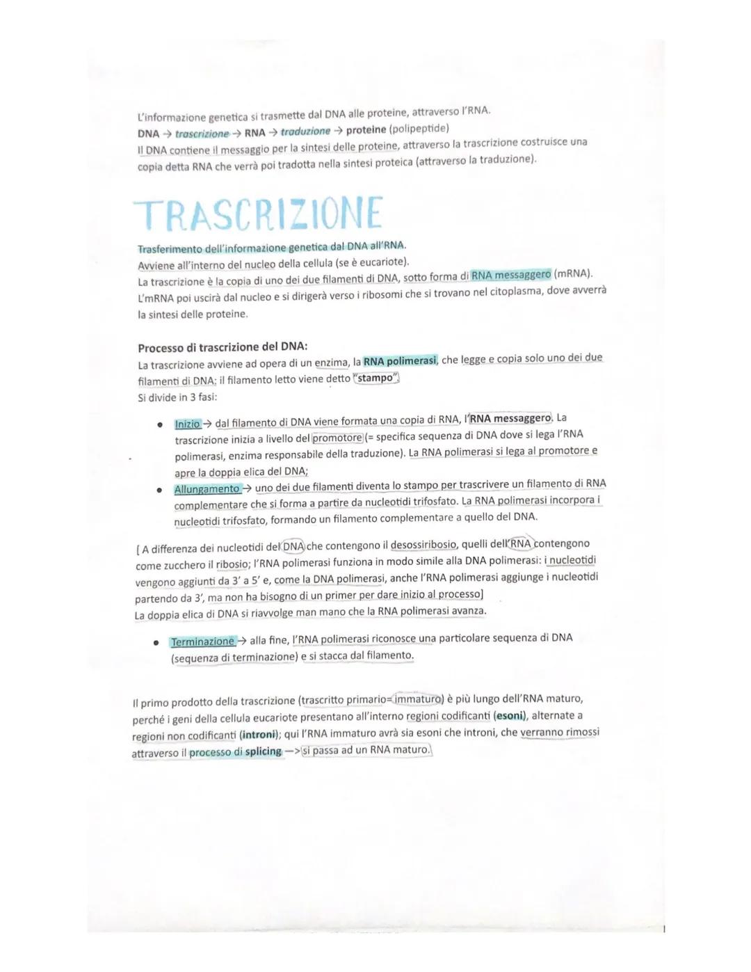 L'informazione genetica si trasmette dal DNA alle proteine, attraverso l'RNA.
DNA trascrizione RNA traduzione → proteine (polipeptide)
Il DN