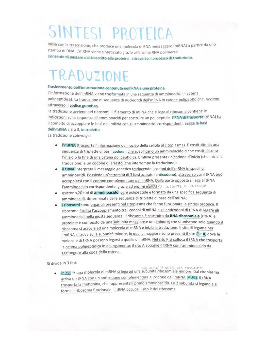 L'informazione genetica si trasmette dal DNA alle proteine, attraverso l'RNA.
DNA trascrizione RNA traduzione → proteine (polipeptide)
Il DN
