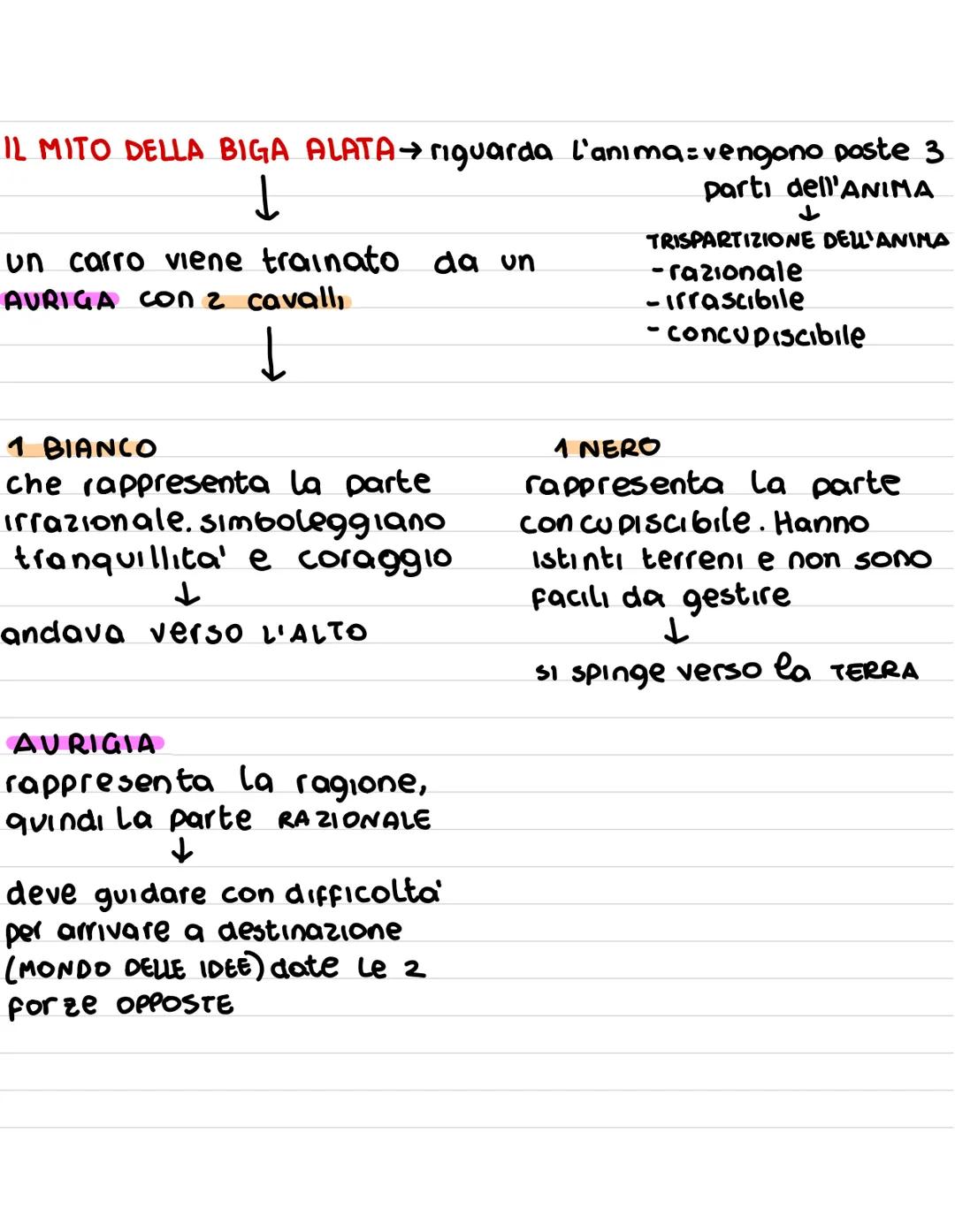 N1-la teoria delle idee
Platone si chiede.
COSA SIA IL BENE
YCOSA SONO I VALORI ASSOLUTI
IN CHE MODO POSSIAMO CONOSCERLI
In primo luogo Plat