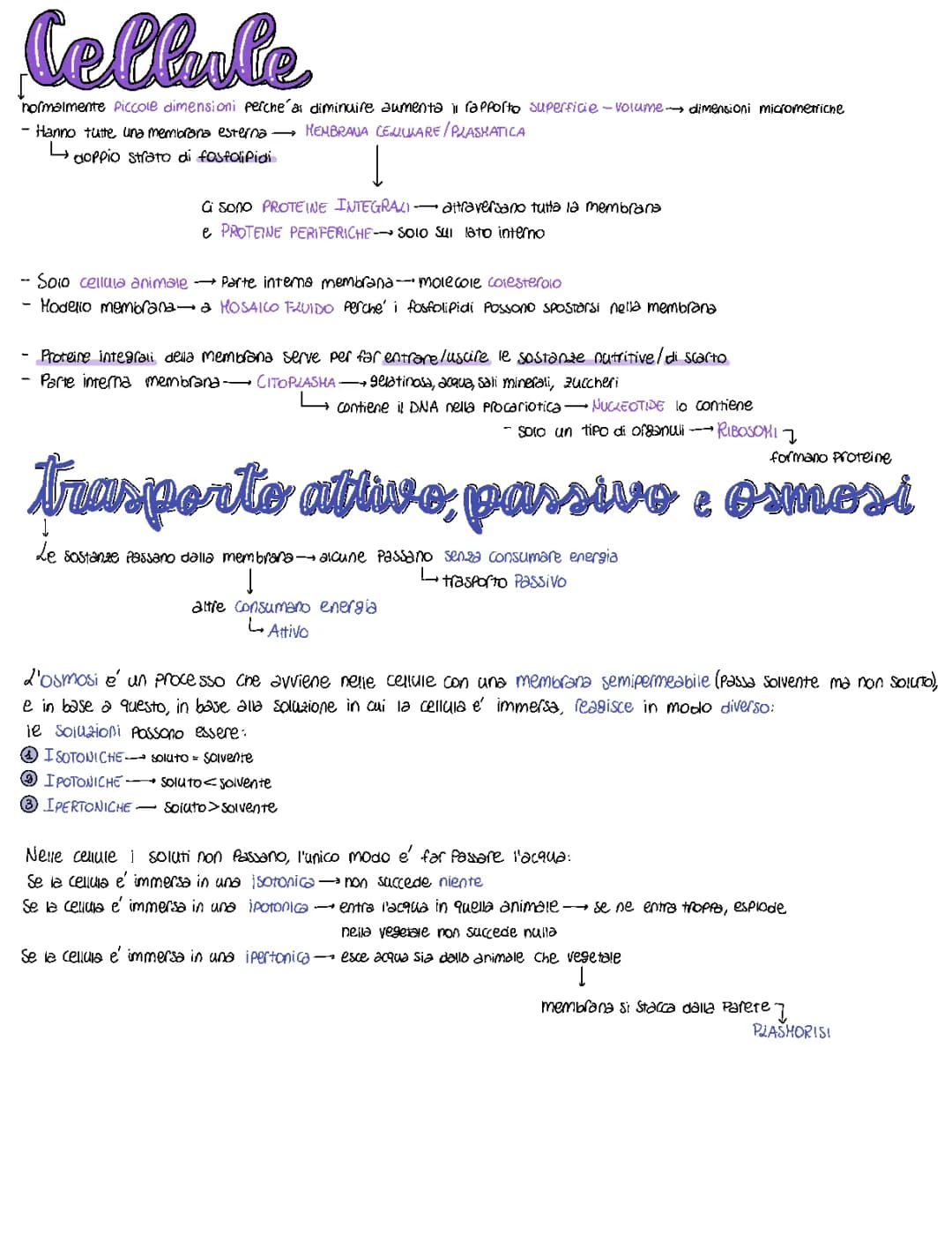 cellule biologia