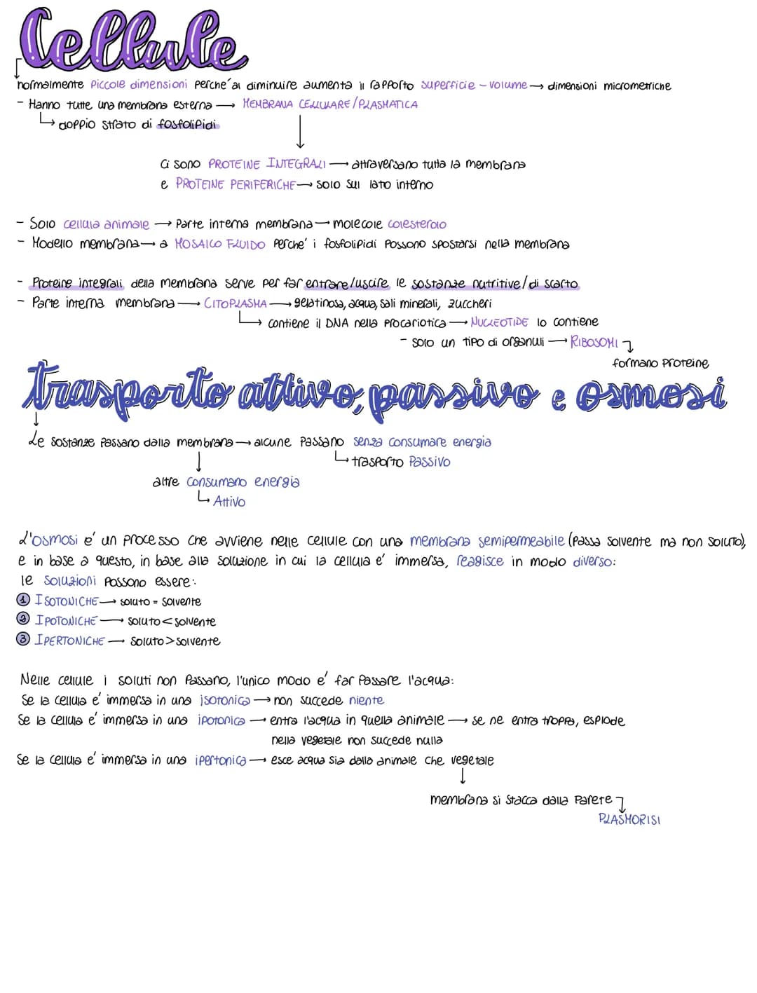 Celleale
normalmente piccole dimensioni perche' al diminuire aumenta il rapporto superficie - volume dimensioni micrometriche
MEMBRANA CELLU