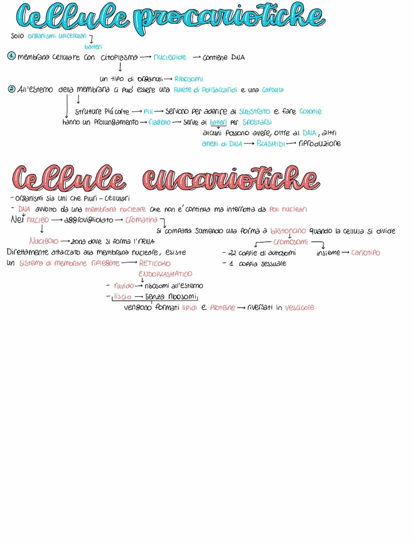Celleale
normalmente piccole dimensioni perche' al diminuire aumenta il rapporto superficie - volume dimensioni micrometriche
MEMBRANA CELLU