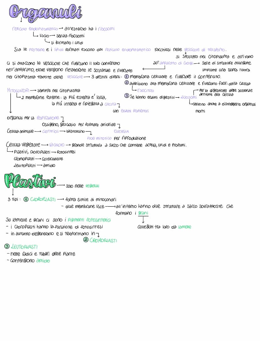 Celleale
normalmente piccole dimensioni perche' al diminuire aumenta il rapporto superficie - volume dimensioni micrometriche
MEMBRANA CELLU