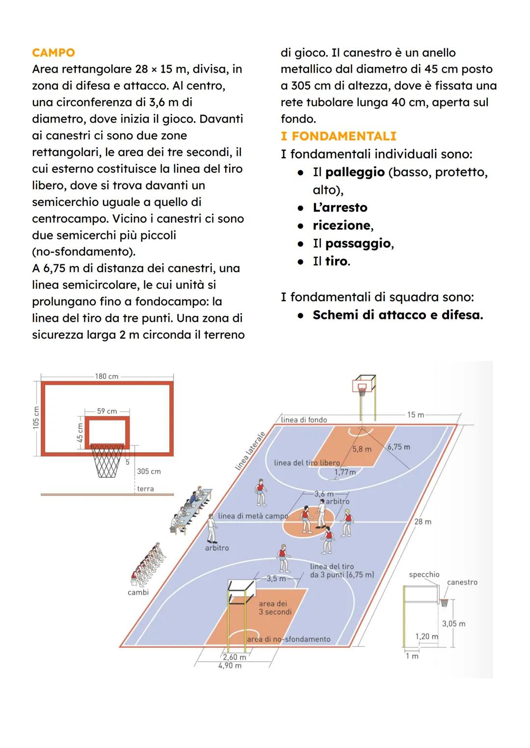 PALLACANESTRO
SCOPO
Lo scopo è far entrare dentro il
canestro avversario la palla che può
essere controllata, palleggiata e
lanciata solo co