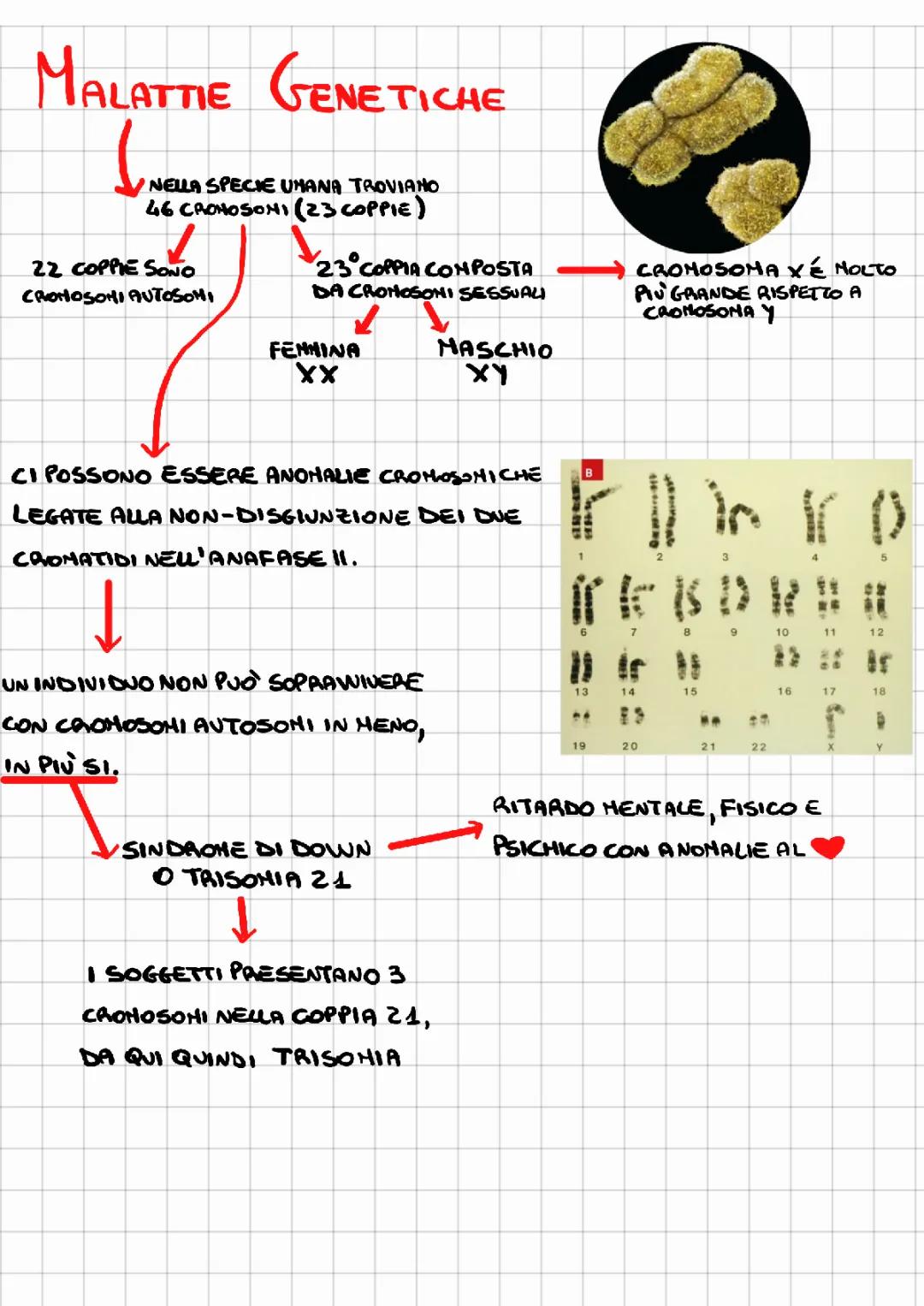 Cool Facts About Chromosome X, Super Women, and Chromosome Disorders