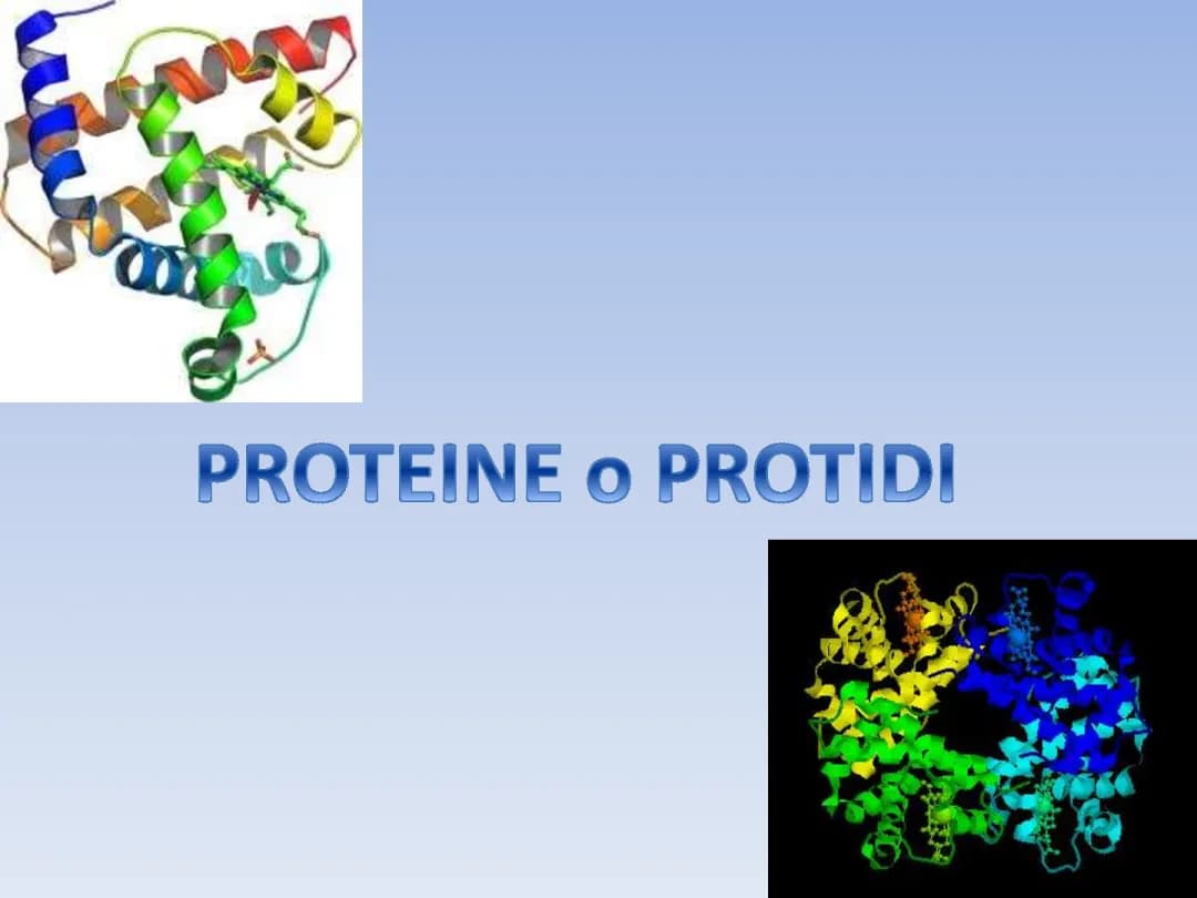 Le proteine 