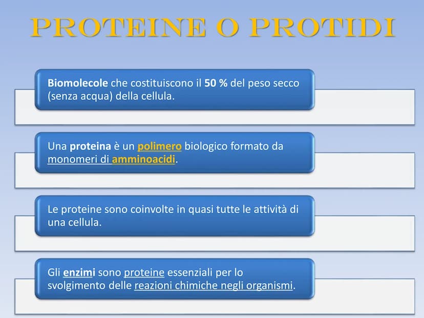 PROTEINE O PROTIDI PROTEINE O PROTIDI
Biomolecole che costituiscono il 50 % del peso secco
(senza acqua) della cellula.
Una proteina è un po