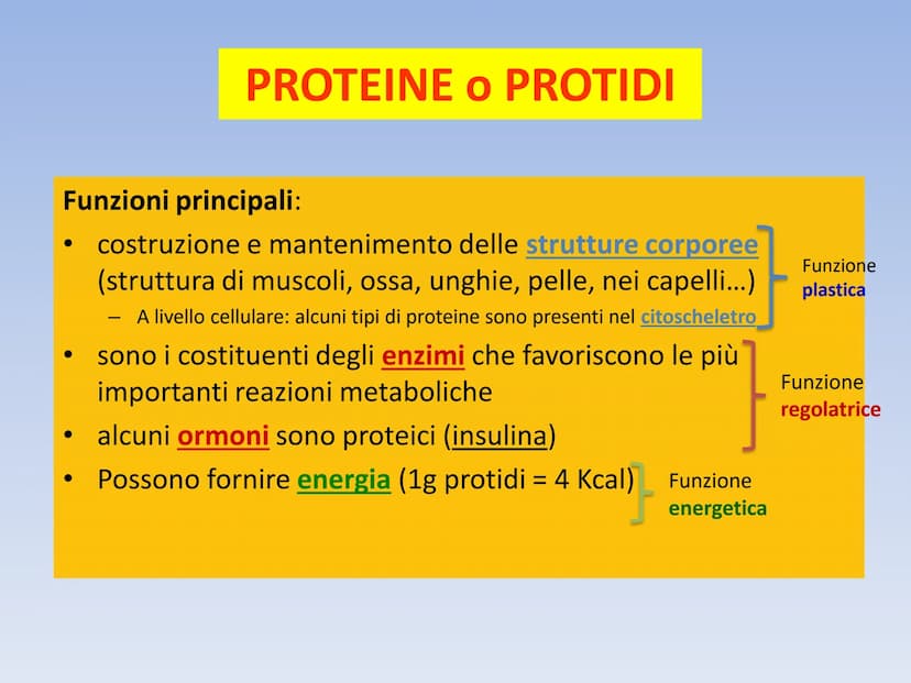 PROTEINE O PROTIDI PROTEINE O PROTIDI
Biomolecole che costituiscono il 50 % del peso secco
(senza acqua) della cellula.
Una proteina è un po