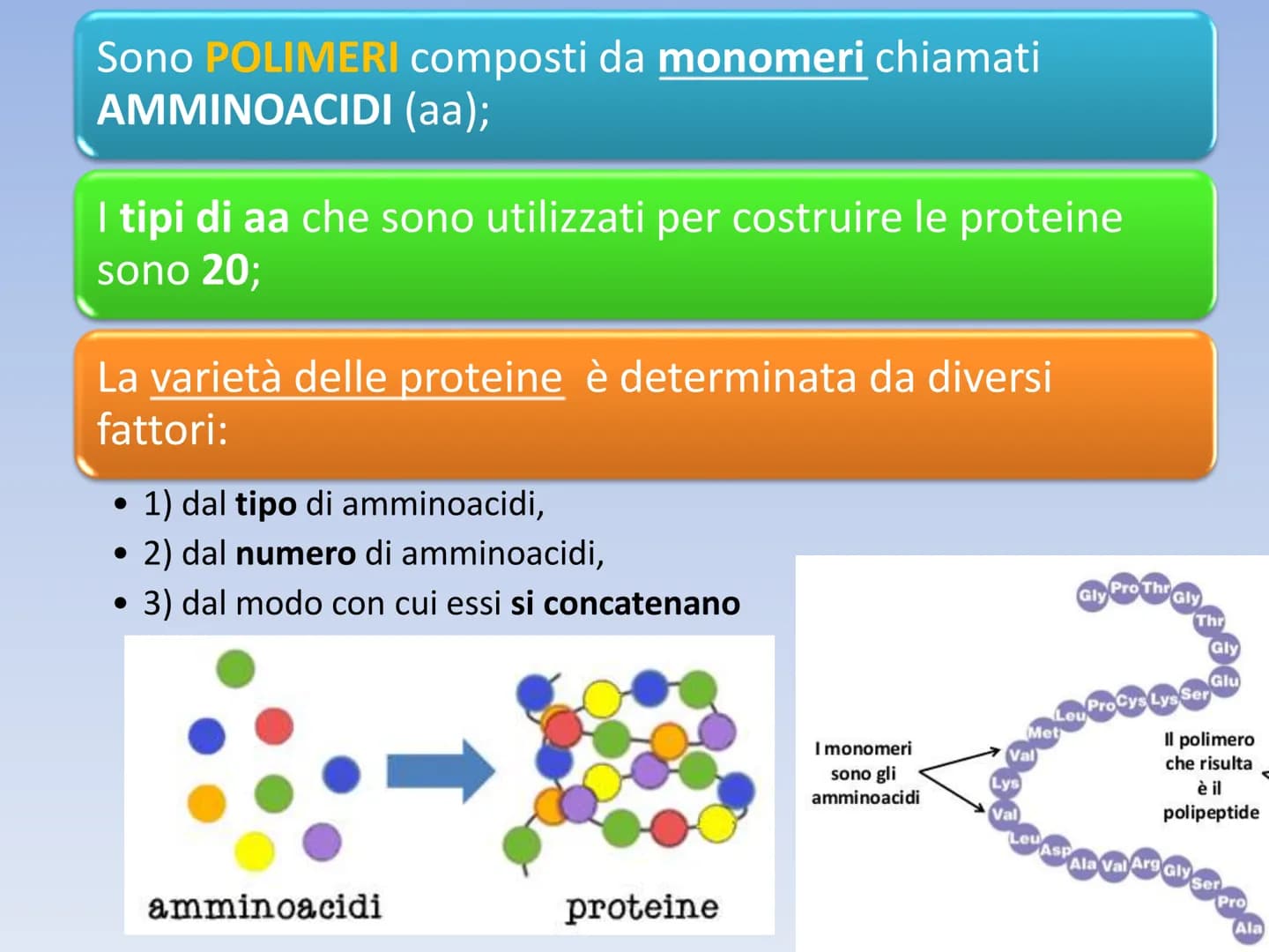 PROTEINE O PROTIDI PROTEINE O PROTIDI
Biomolecole che costituiscono il 50 % del peso secco
(senza acqua) della cellula.
Una proteina è un po