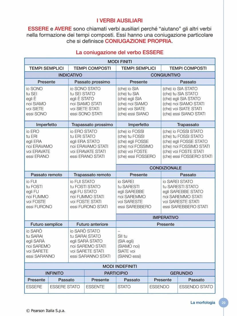 IL VERBO
Che cos'è il verbo
Il verbo è la parte variabile del discorso che indica:
• un'azione compiuta da una persona o da una cosa
• un'az