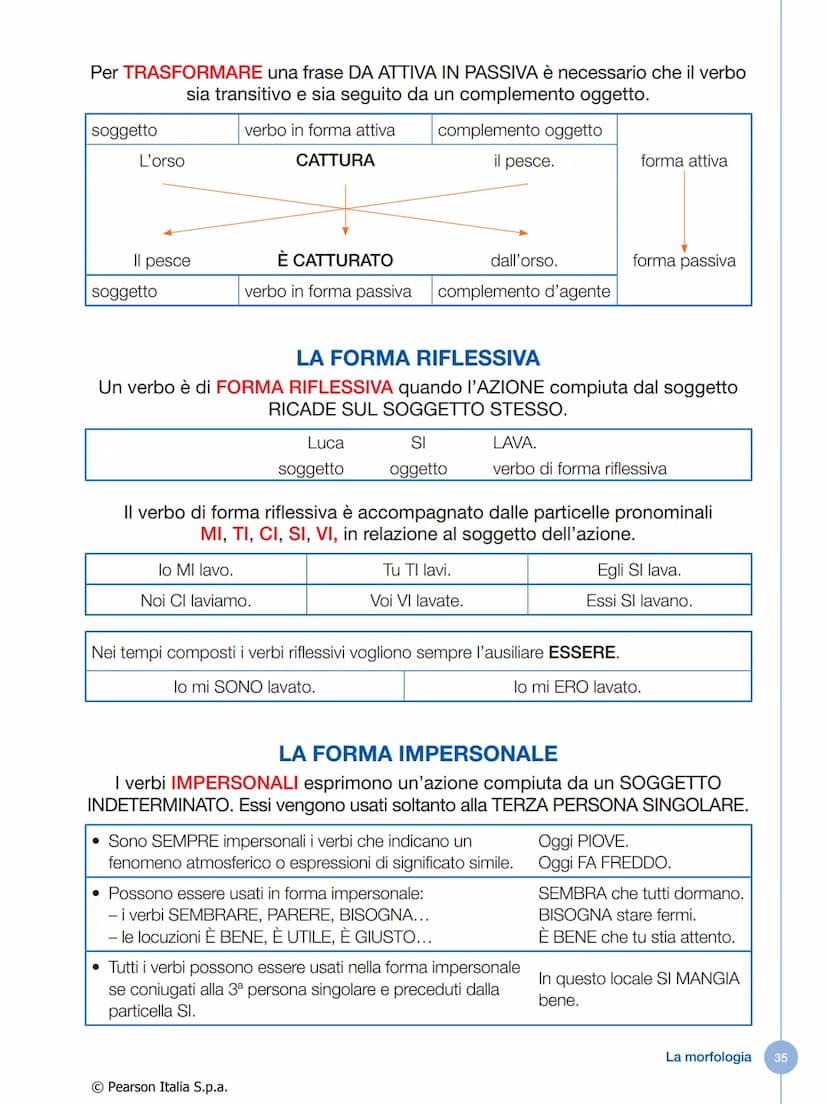 IL VERBO
Che cos'è il verbo
Il verbo è la parte variabile del discorso che indica:
• un'azione compiuta da una persona o da una cosa
• un'az