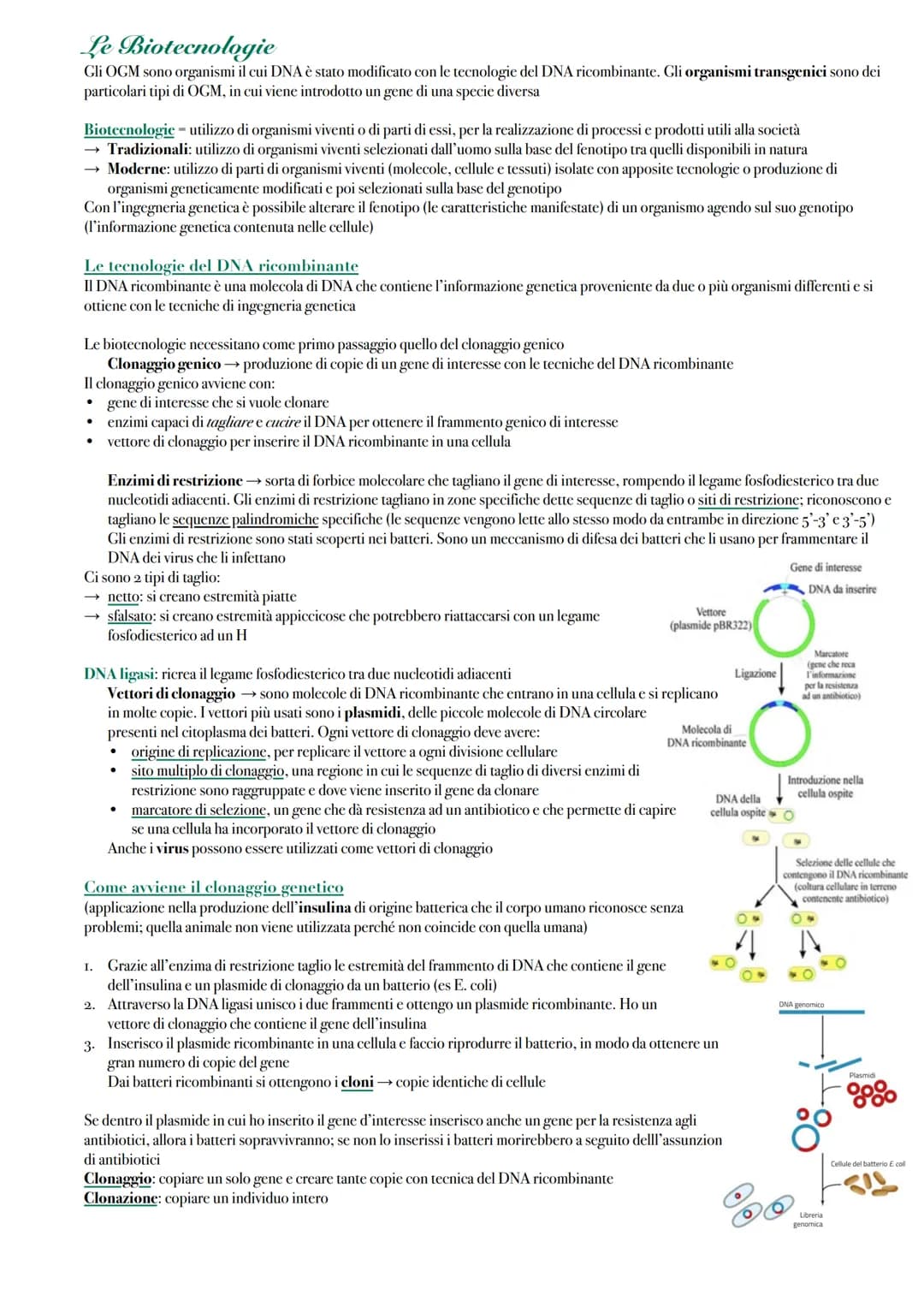 Le Biotecnologie
Gli OGM sono organismi il cui DNA è stato modificato con le tecnologie del DNA ricombinante. Gli organismi transgenici sono