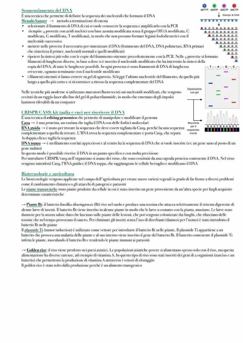 Le Biotecnologie
Gli OGM sono organismi il cui DNA è stato modificato con le tecnologie del DNA ricombinante. Gli organismi transgenici sono