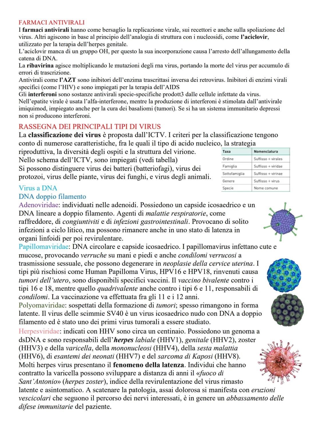 VIRUS
LA STRUTTURA E LE CARATTERISTICHE DEI VIRUS
Sono microrganismi acellulari, (non contengono né citoplasma né dispositivi metabolici), i