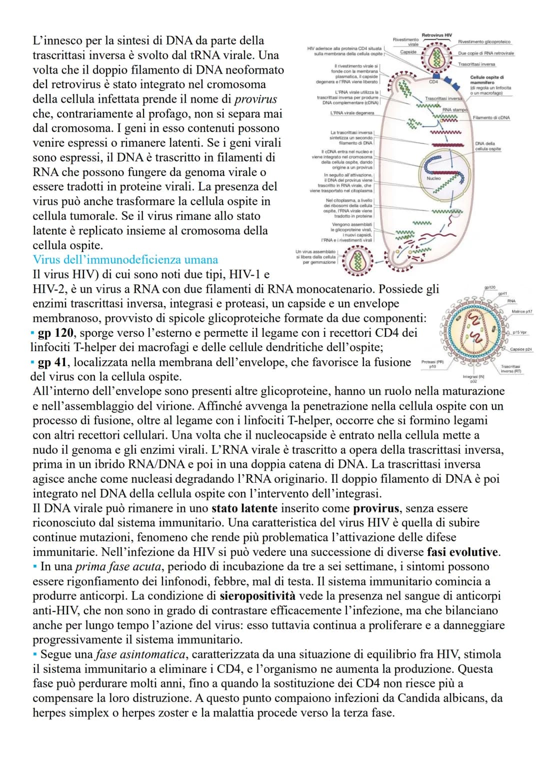 VIRUS
LA STRUTTURA E LE CARATTERISTICHE DEI VIRUS
Sono microrganismi acellulari, (non contengono né citoplasma né dispositivi metabolici), i