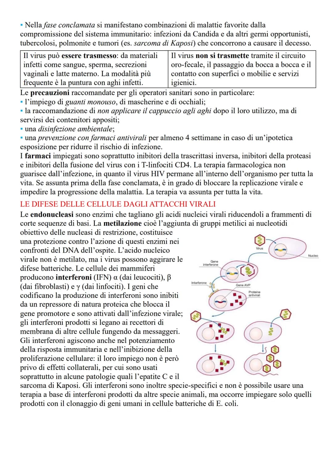 VIRUS
LA STRUTTURA E LE CARATTERISTICHE DEI VIRUS
Sono microrganismi acellulari, (non contengono né citoplasma né dispositivi metabolici), i