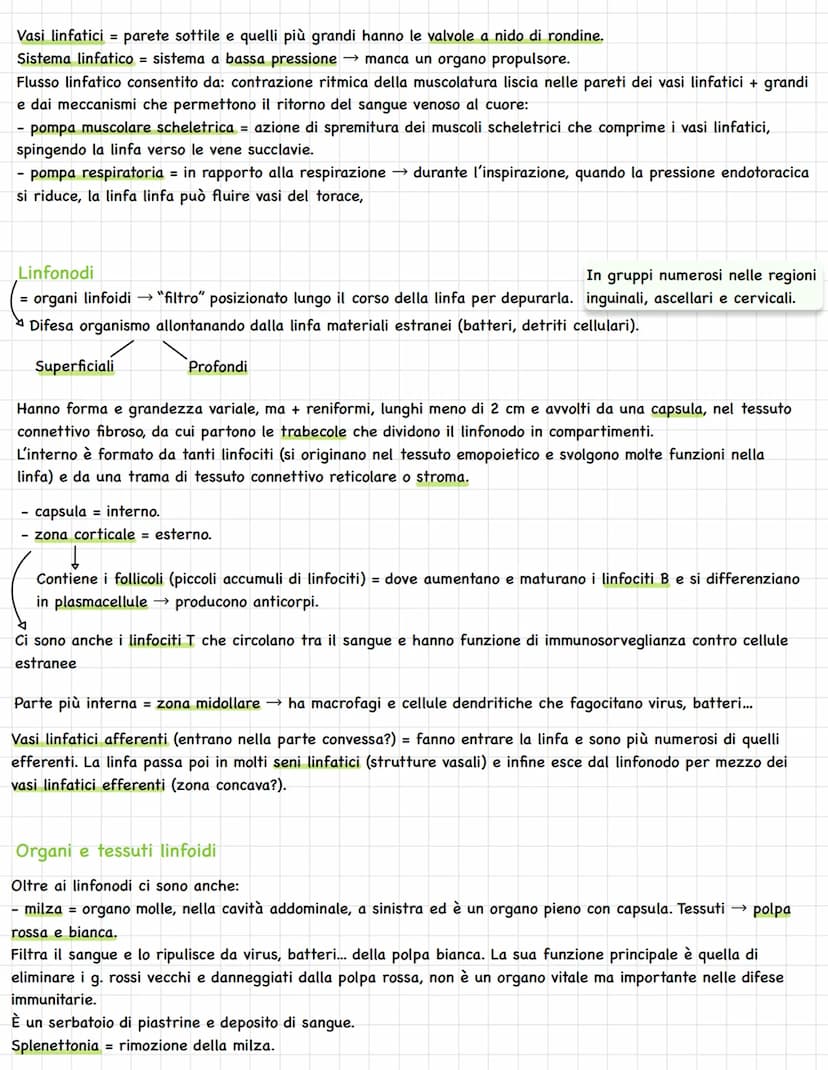 Sistema linfatico = insieme vasi= circolazione linfatica
Rete vasi linfatici → linfa.
Tessuti e organi linfoidi.
1
In alcuni tratti è parall