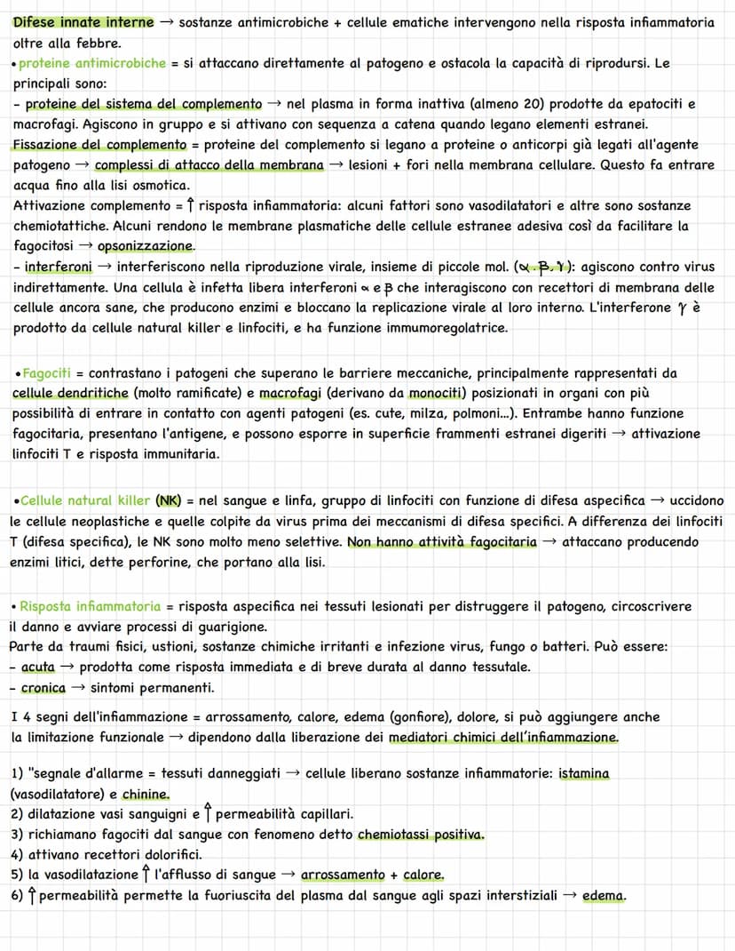 Sistema linfatico = insieme vasi= circolazione linfatica
Rete vasi linfatici → linfa.
Tessuti e organi linfoidi.
1
In alcuni tratti è parall
