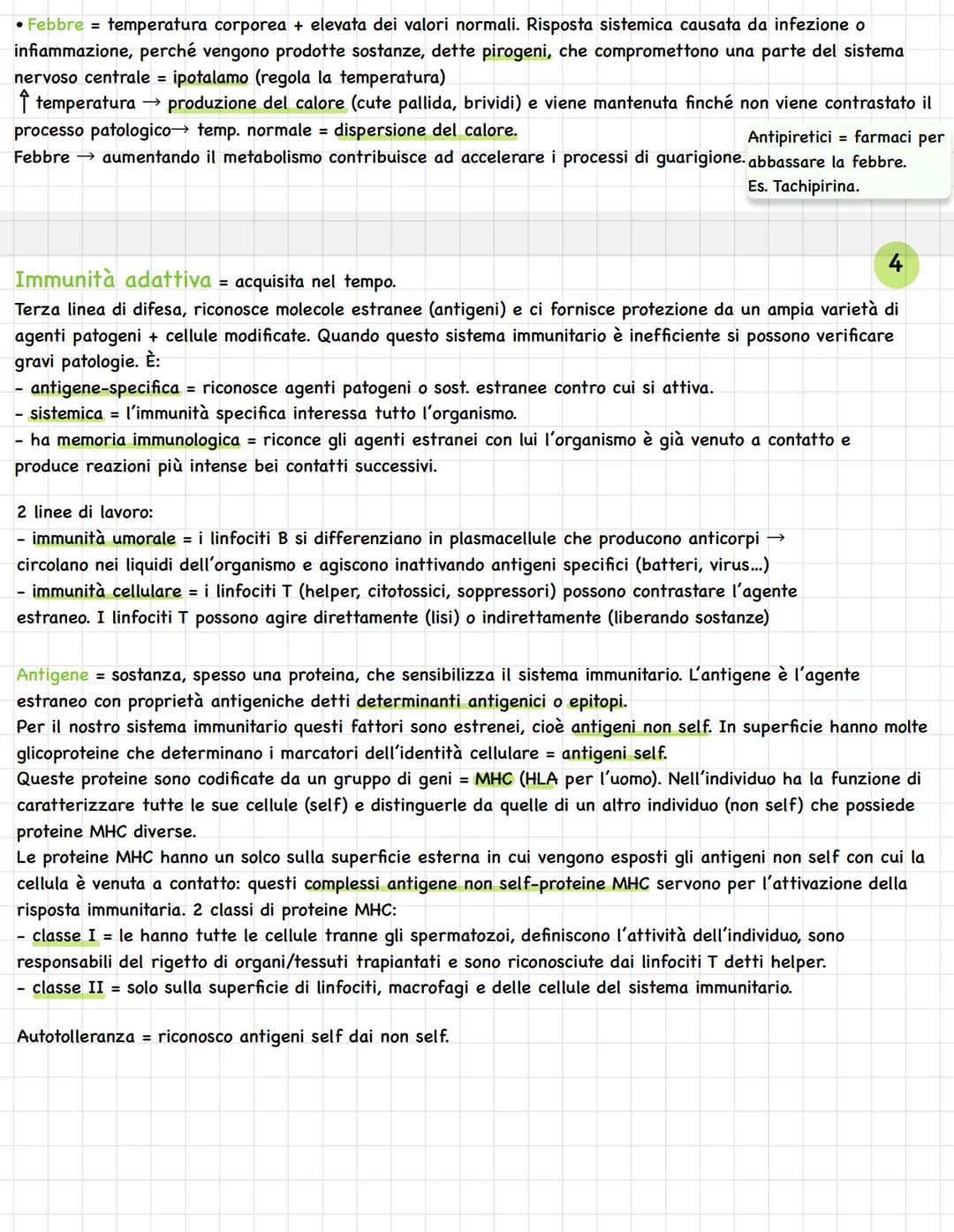 Sistema linfatico = insieme vasi= circolazione linfatica
Rete vasi linfatici → linfa.
Tessuti e organi linfoidi.
1
In alcuni tratti è parall