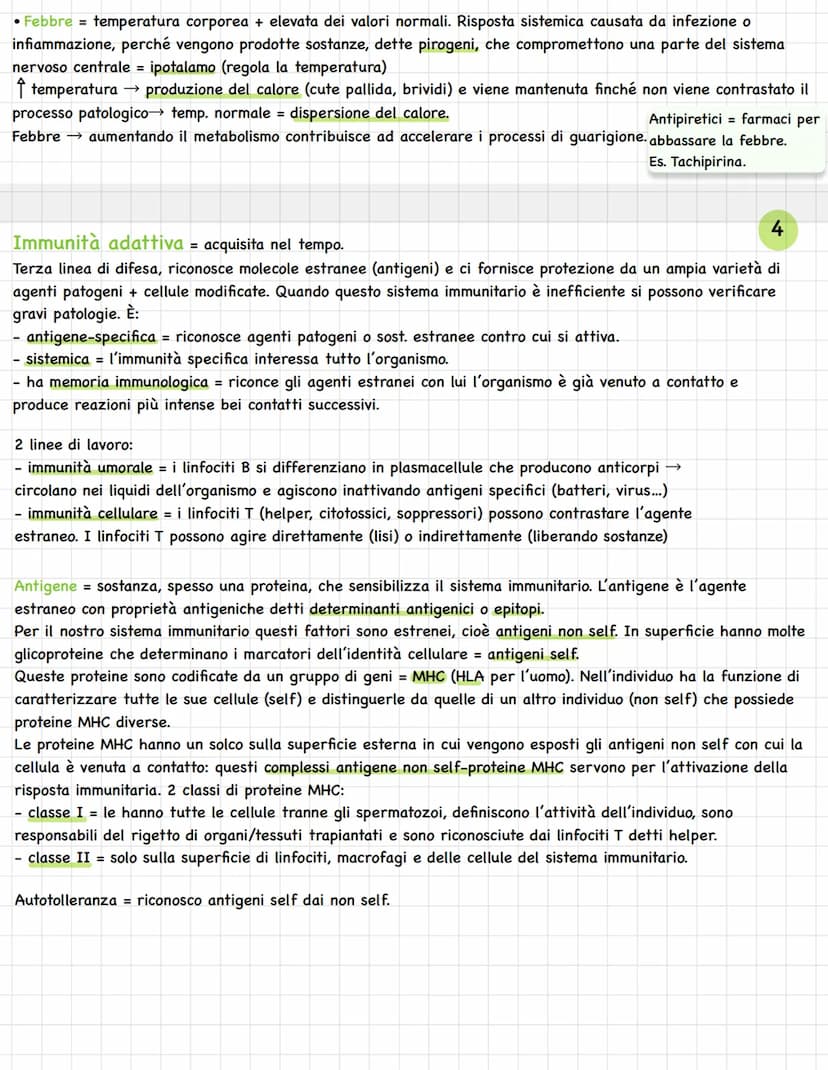 Sistema linfatico = insieme vasi= circolazione linfatica
Rete vasi linfatici → linfa.
Tessuti e organi linfoidi.
1
In alcuni tratti è parall