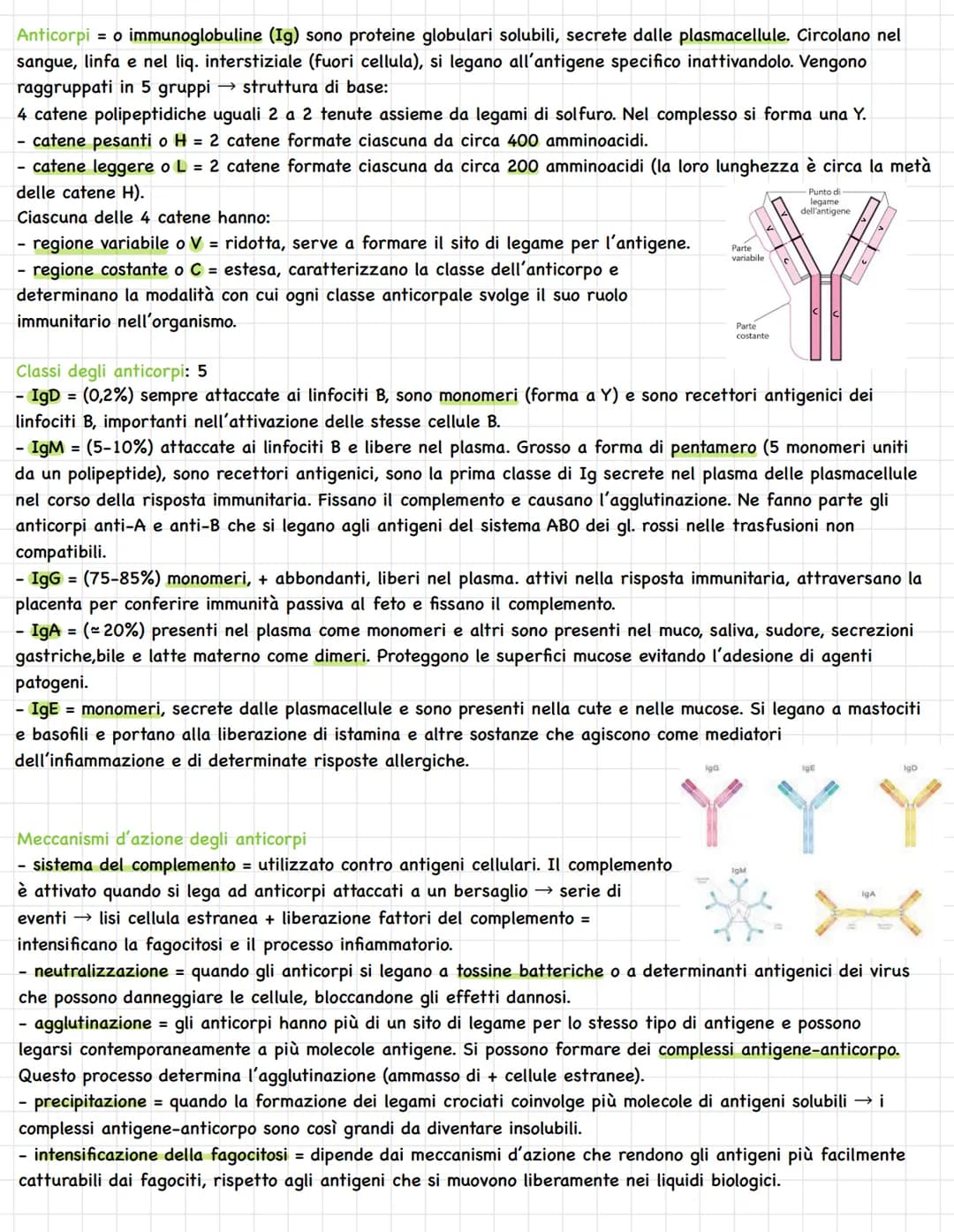 Sistema linfatico = insieme vasi= circolazione linfatica
Rete vasi linfatici → linfa.
Tessuti e organi linfoidi.
1
In alcuni tratti è parall